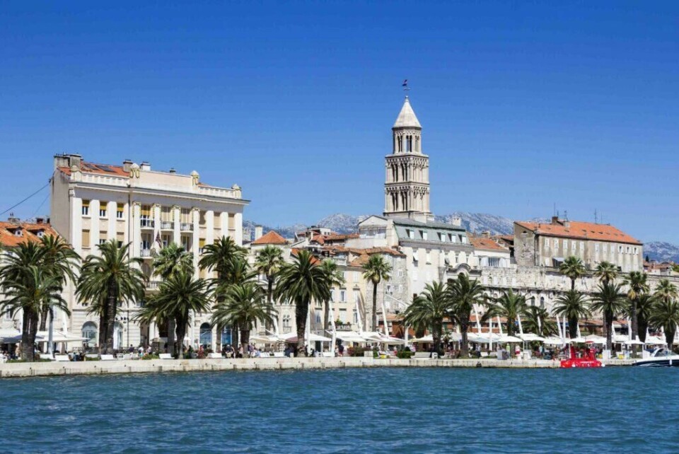 I Split kan du nyte palmesus i Kroatias nest største by. (Foto: Colourbox) panoramabilde av split i kroatia med split tower i bakgrunnen