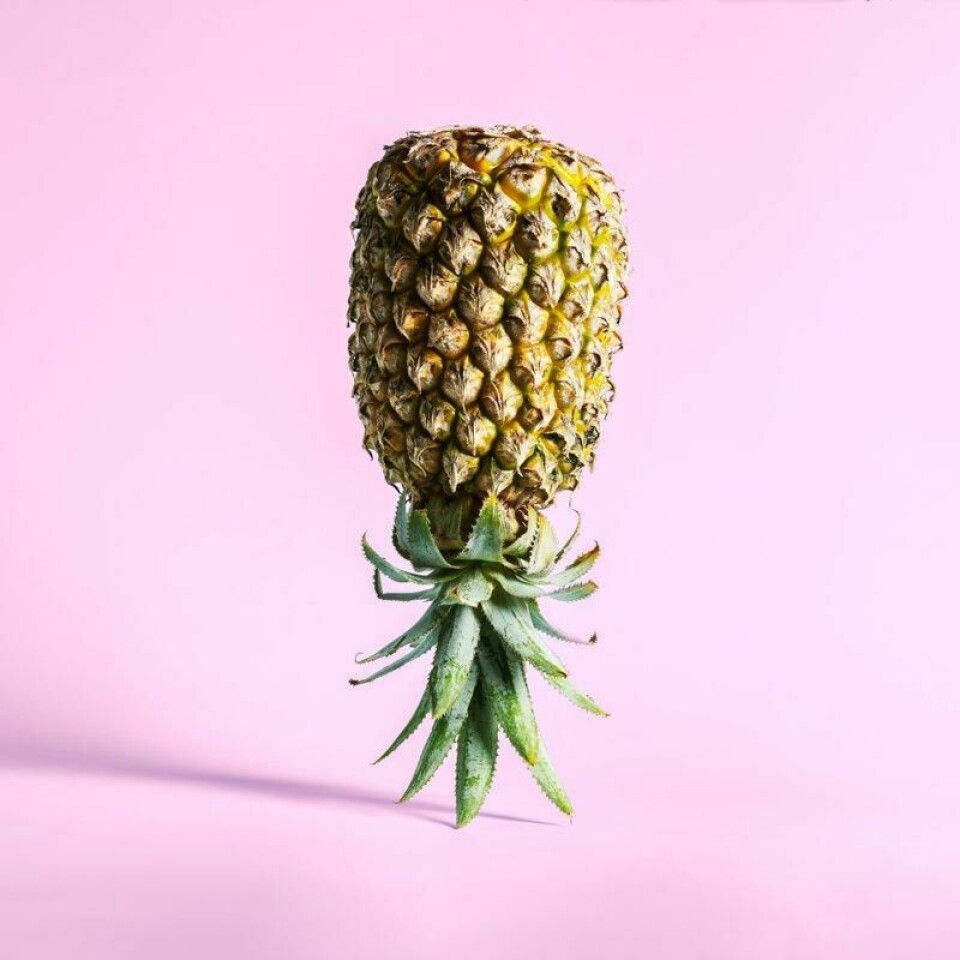 En ananas opp ned betyr kanskje ikke så mye for mange, men i swinging-miljøet er det et velkjent symbol. En ananas opp ned betyr kanskje ikke så mye for mange, men i swinging-miljøet er det et velkjent symbol. Foto: SOLDATOOFF / Shutterstock / NTB