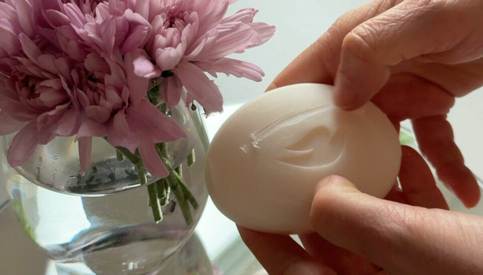 En hånd skraper neglene lett over et ovalt såpestykke mens en vase med rosa blomster står i bakgrunnen. Såperester samler seg under neglene. Før du starter med hage eller garasje – gjør dette enkle trikset med såpe og spar deg for skrubbing etterpå.