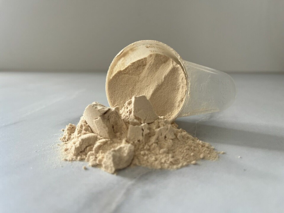 Bare litt mer av de riktige proteinene kan ifølge forskning og ekspertene føre til at du lever lenger. Et målebeger av plast, ofte brukt til porsjonering av proteinpulver, kreatin, eller annen sportsernæring.
Pulveret er lyst beige, med både fint pulver og noen små klumper – typisk for myseprotein (whey), eller muligens plantprotein.
Konsistensen og fargen minner mer om naturlig, ikke-smaksatt proteinpulver (som vanilje eller nøytral).