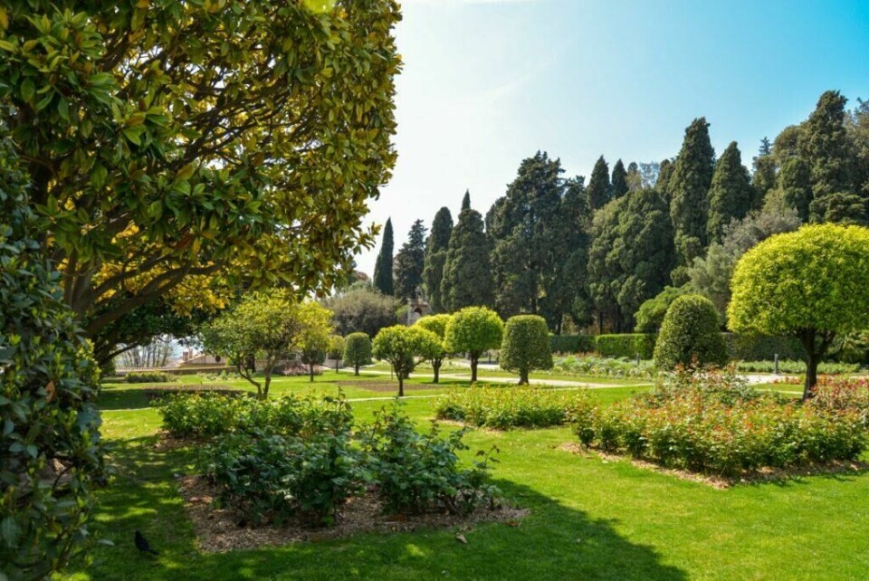 Fransiskaner-klosteret på Cimiez-høyden i Nice har også en av byens vakreste hager. (Foto: Colourbox) Vakre og velstelte hager ved Cimiez-klosteret (Monastère de Cimiez) i Nice, Frankrike.