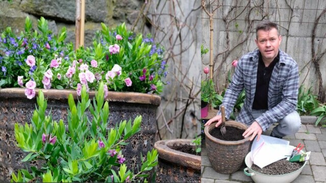 Sørg for å plassere krukkene et sted som gir optimale solforhold for plantene du velger. (Foto: Miriam Schjetlein)