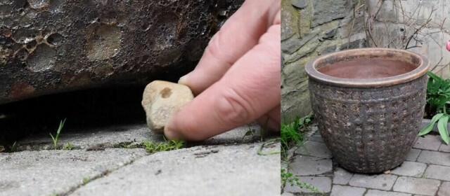 Legg en stein eller en trebit under krukken som sørger for drenering av vannet fra blomsterpotten. (Foto: Miriam Schjetlein)