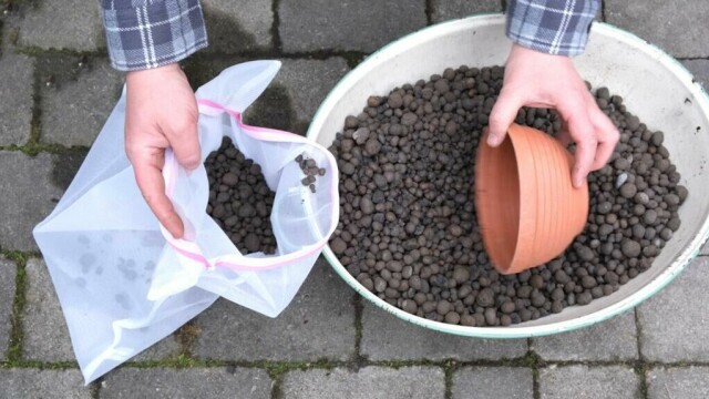 Ha lecakuler i en vaskepose. Da kan du enkelt gjenbruke lecakulene når du skifter jorden i blomsterpottene neste gang. (Foto: Miriam Schjetlein)