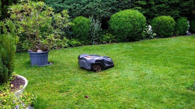 Robotgressklippere blir stadig mer populære blant nordmenn, men smådyr og insekter får dårligere kår. (Foto: Colourbox)