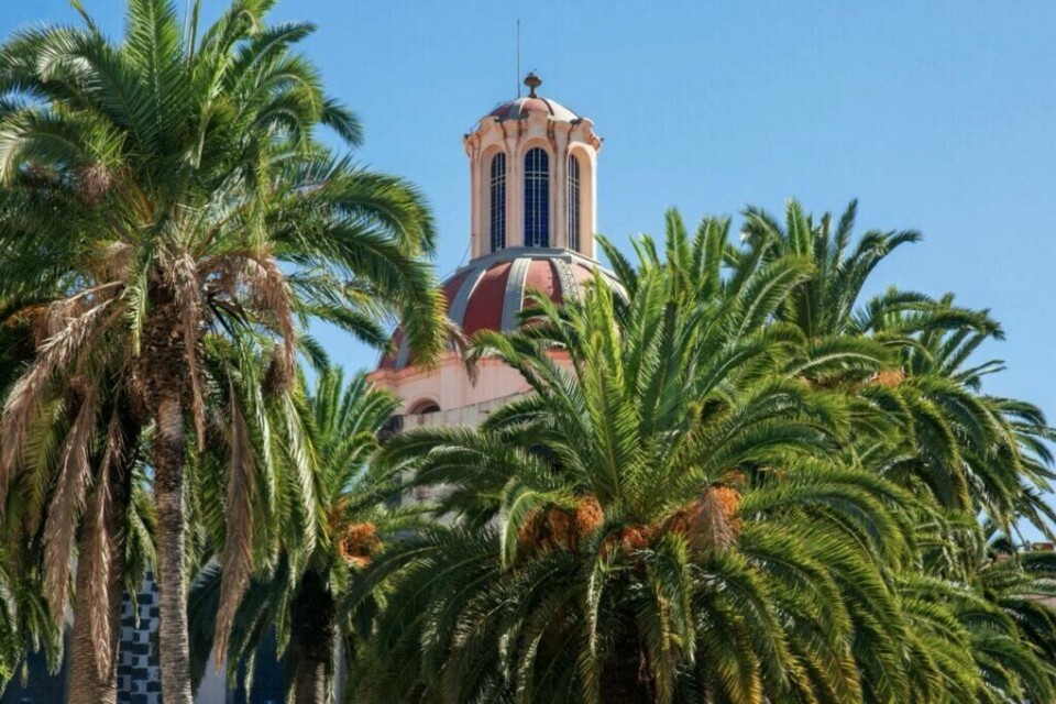 Visste du at Santa Cruz de Tenerife, kanariøyas hovedstad, ikke bare byr på shopping, kultur og historie, men også et årlig, verdenskjent karneval, som i tillegg til å være størst i Europa er verdens nest største? (Foto: Canva) En fargerik og tropisk scene fra Tenerife, der en kuppelbygning i røde og lyse nyanser stiger opp bak en tett klynge med frodige palmetrær. Den arkitektoniske stilen på bygningen vitner om historisk eller religiøs betydning, mens palmene og den klare blå himmelen gir bildet en varm, eksotisk feriefølelse. Dette er et klassisk eksempel på hvordan Kanariøyene kombinerer kultur og natur på vakkert vis.Visste du at Santa Cruz de Tenerife, kanariøyas hovedstad, ikke bare byr på shopping, kultur og historie, men også et årlig, verdenskjent karneval, som i tillegg til å være størst i Europa er verdens nest største?