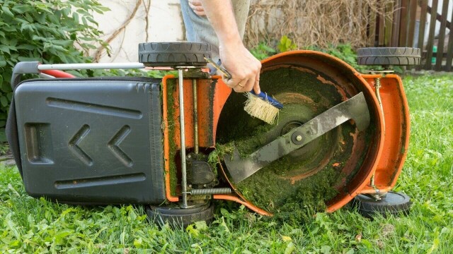 Rengjør klipperen jevnlig for å hindre gressoppbygging og sikre godt klipperesultat – både for bensin- og batteridrevne modeller. (Foto: Colourbox)