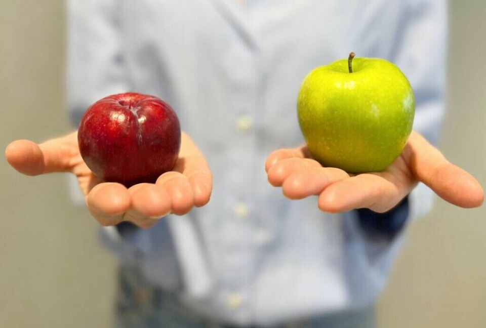Hvorvidt du har vokst opp med et sunt kosthold kan det ha mye å si for matvalgene du gjør senere i livet. I hvilken grad man opplever stimuli av å spise er også forskjellig, og for noen kan raske karbohydrater gi en veldig stimuli forteller Tine Sundfør. (Foto: Marie Henriksen / ABC Startsiden) Bilde av en kvinne i en blå skjorte og dongeribukser som holder frem en plomme og et eple i hendene, og opp mot kamera. Vi har snakket med klinisk ernæringsfysiolog Tine Sundfør som forteller om det stemmer at enkelte legger lettere på seg enn andre. Stemmer det at kaloriene legger seg fortere på noens hofter enn andre eller er alles forbrenning lik?