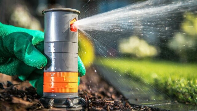 Automatiske vanningssystemer gir jevn og målrettet vanning – og sørger for at plantene får det de trenger, selv når du ikke er hjemme. (Foto: Colourbox)