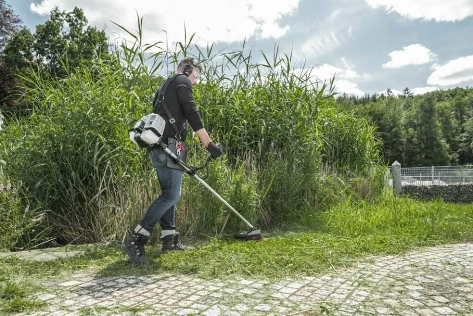Har du større hage med stor avstand til stikkontakt vil en batteridrevet gresstrimmer være det beste valget. Disse kan holde på lenge, tar også grovere gress og trenger ikke å lades. (Foto: Garden Store) Bilde av mann med gresstrimmer/ kantklipper fra Al-ko som går på bensin. Klipper gress i stor hage.