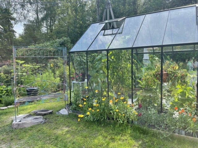 Våg å være kreativ med både planting og møbler i drivhuset. En gammel hylle blir fort veldig fin og praktisk til dyrking og planting av blomster og grønnsaker. (Foto: Miriam Schjetlein)
