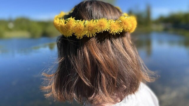 En vakker blomsterkrans til håret laget av løvetann (Foto: Kreative Ideer/ Aurora Lange)